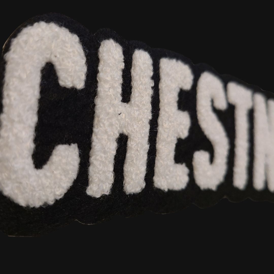 Chestnut Hill Pullover Hoodie – Soft Chenille Patch - Image 2